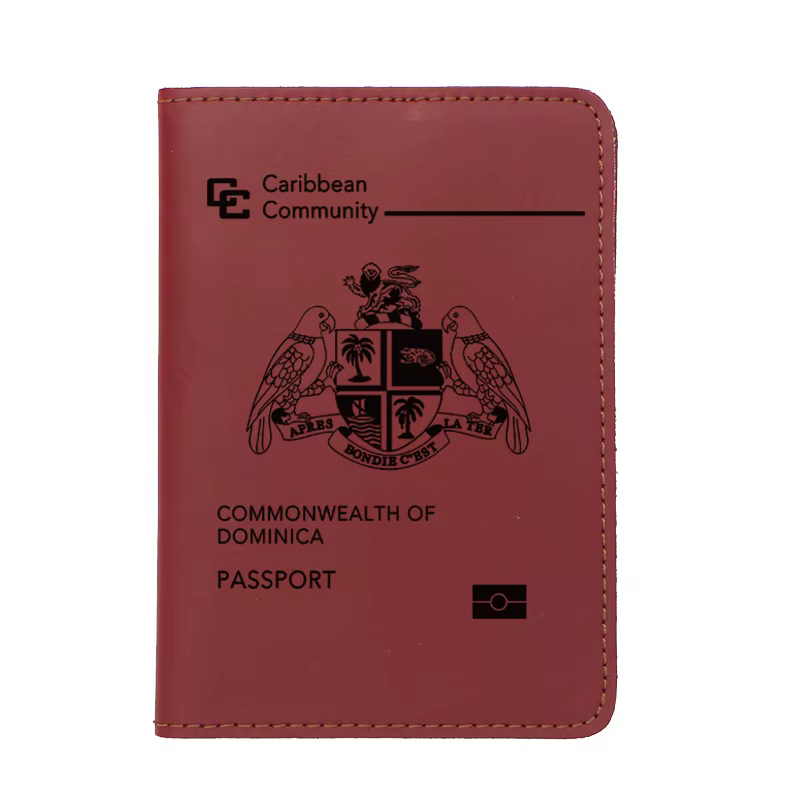 Portefeuille de voyage en cuir véritable fait à la main, nom personnalisé, couverture de passeport d