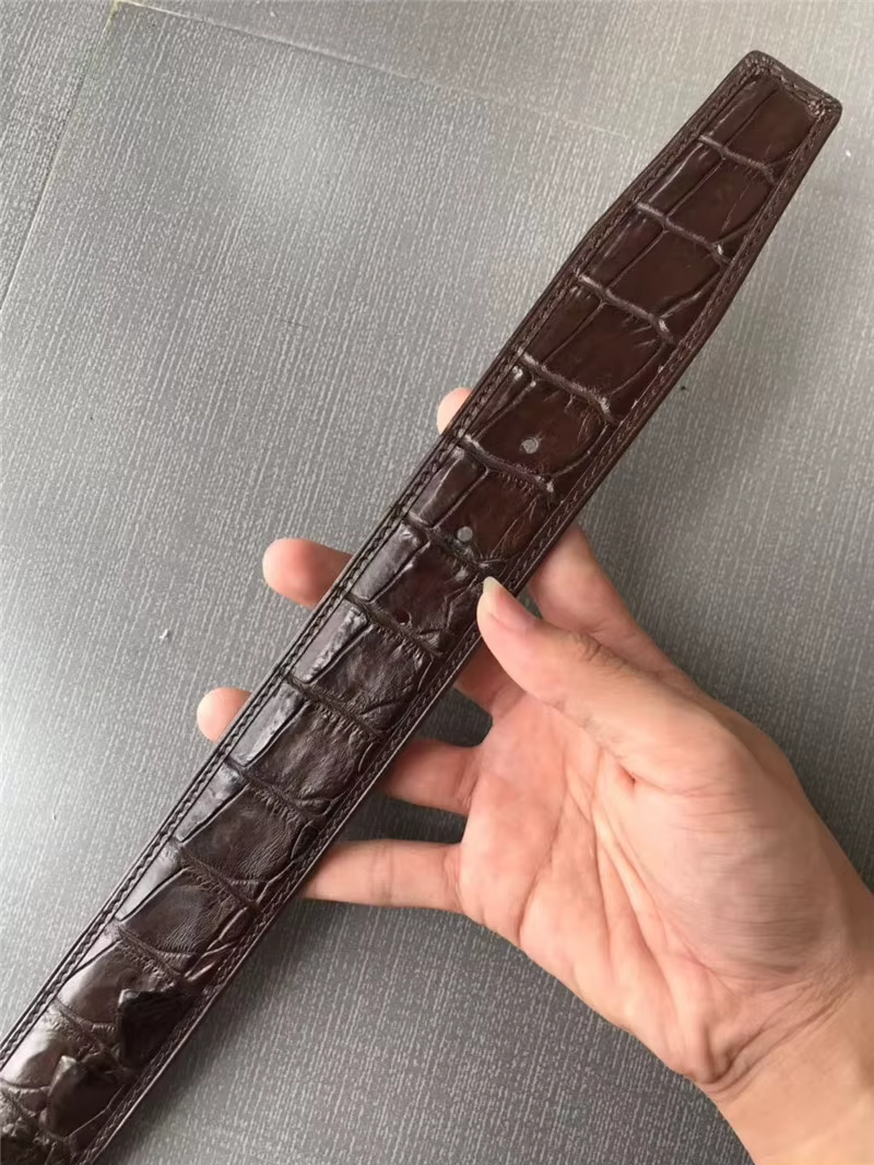 Ceintures marron en peau de crocodile authentique pour hommes