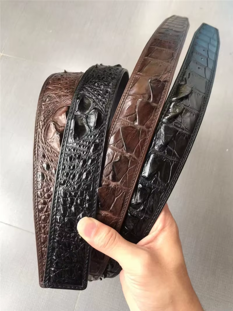 Ceintures marron en peau de crocodile authentique pour hommes