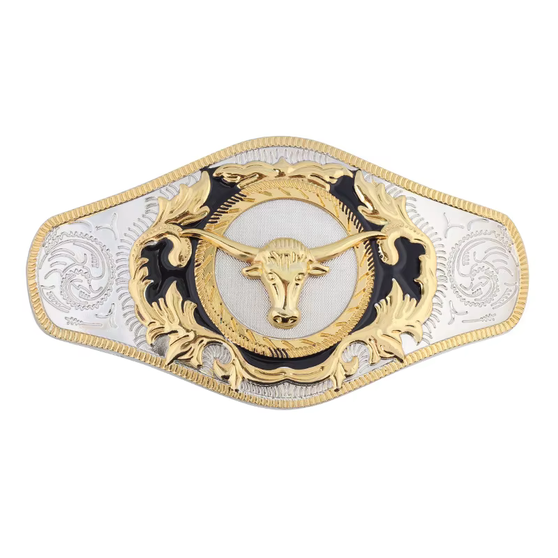 Accessoires de ceinture en alliage Double couleur