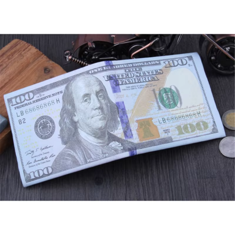 Portefeuille mignon en dollars jeunesse pour garçons et hommes