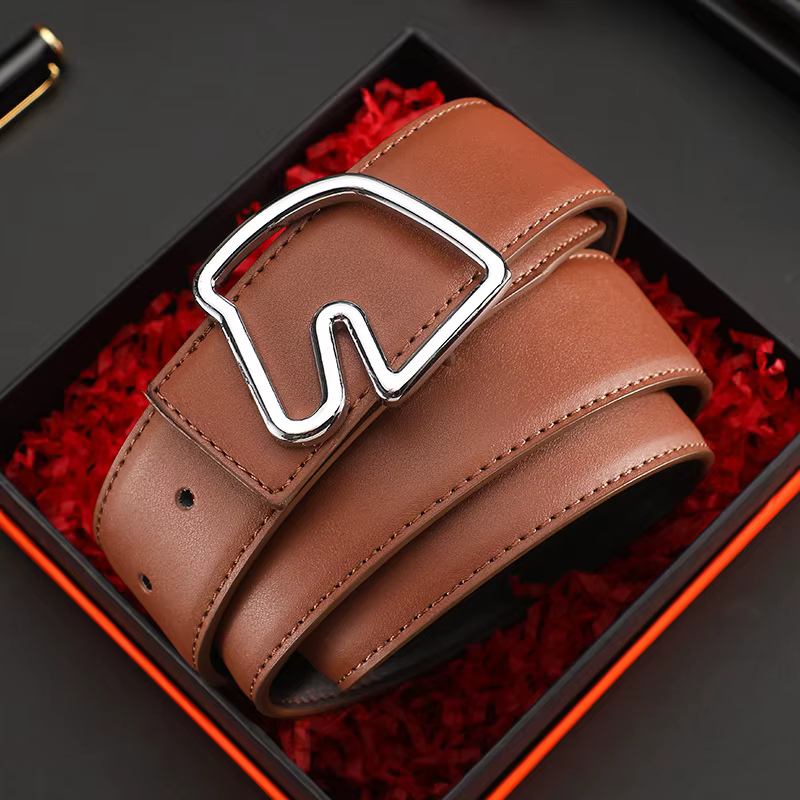 Ceinture de marque célèbre pour hommes