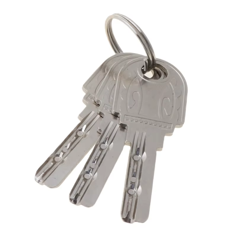 Serrure de porte d'entrée à clé, ensemble de serrures à cylindre avec 3 clés, serrure de porte d'entrée antivol, cylindre de serrure ouvert unique pour la maison