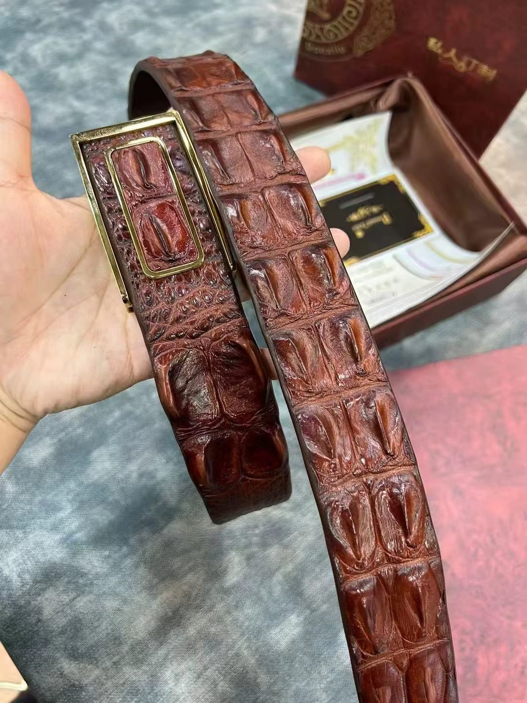 Ceinture pour homme en véritable peau de crocodile avec boucle en acier inoxydable
