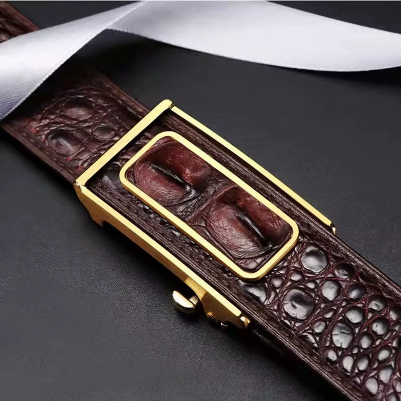 Ceintures Crocodile véritable pour hommes Alligator en cuir