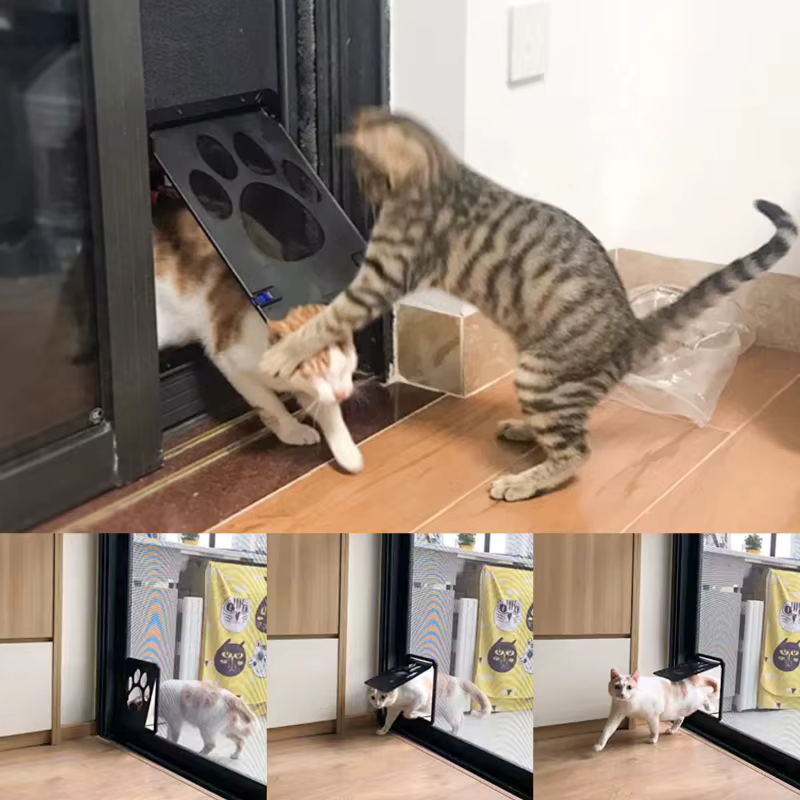 Porte pour animaux de compagnie en plein air chiens chats fenêtre porte maison entrez librement mode joli jardin nouvel écran verrouillable sûr facile à installer porte pour chien